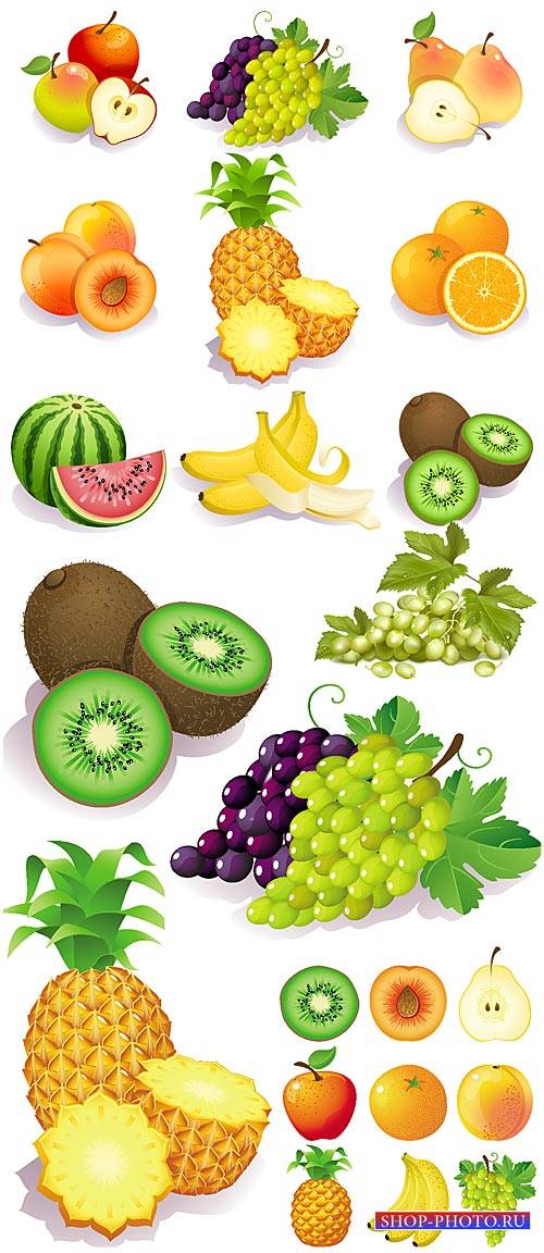 Фрукты в векторе, тропические фрукты / Vector fruit, tropical fruit