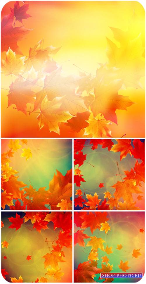 Осенние векторные фоны с желтыми листьями / Autumn vector background with yellow leaves #2