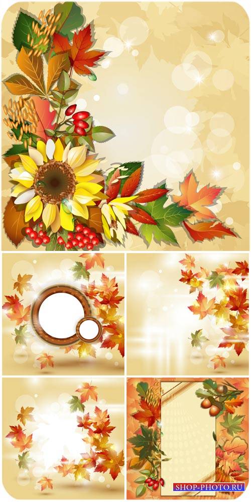 Осенние векторные фоны с подсолнухами и листьями / Autumn vector background ...