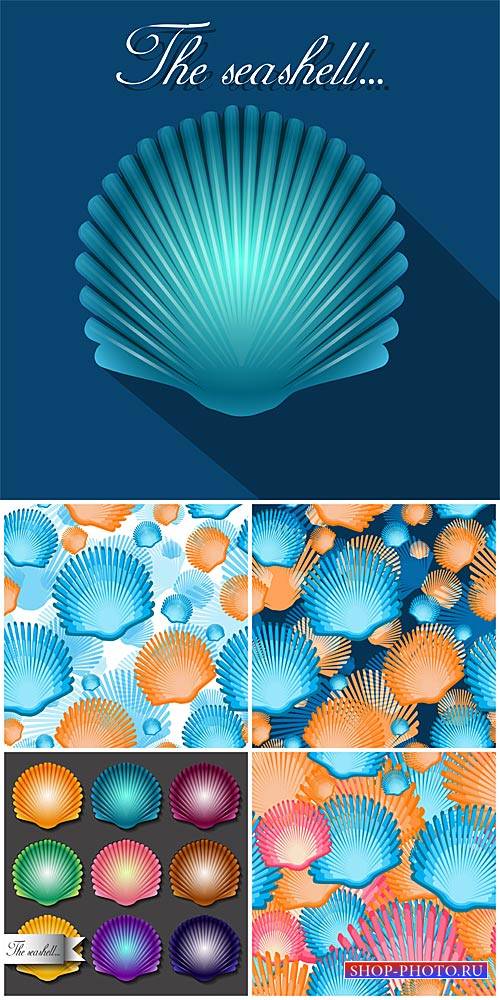 Векторные фоны с ракушками, морские фоны / Vector Background with seashells, sea background