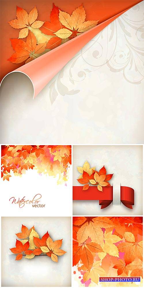 Осенние векторные фоны, оранжевые листья / Autumn vector background, orange ...
