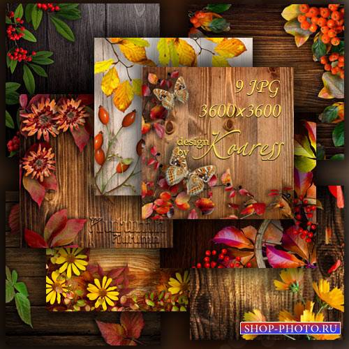 Осенние деревянные фоны для дизайна с цветами, ягодами, листьями на деревян ...