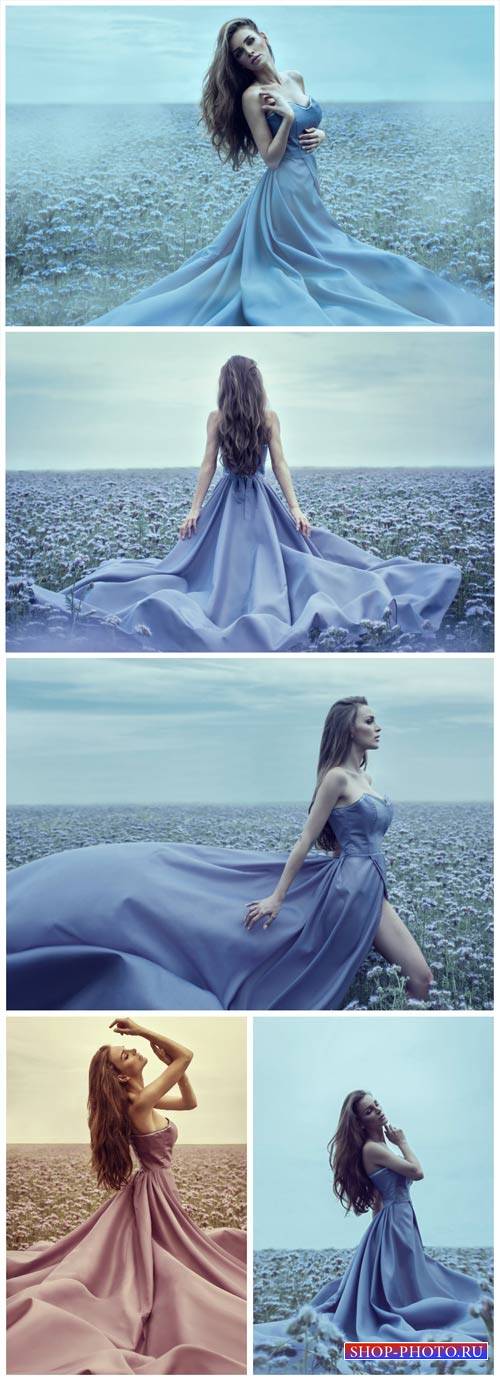 Девушка в красивом платье, поле с цветами / Girl in a beautiful dress - Stock Photo
