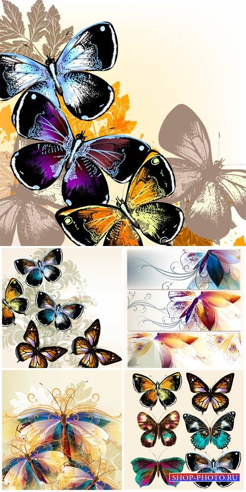 Бабочки, фоны и баннеры в векторе / Butterflies, backgrounds and banners vector