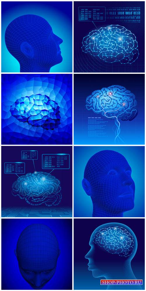 Человеческий мозг, люди в векторе / Human brain, people in the vector