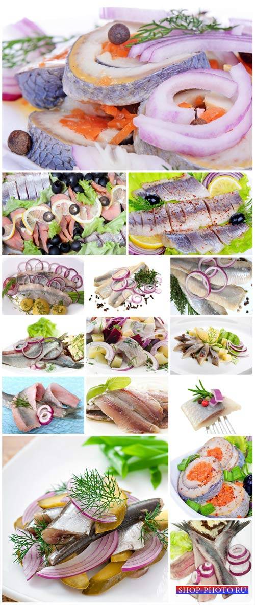 Fish, herring fillets - Stock photo