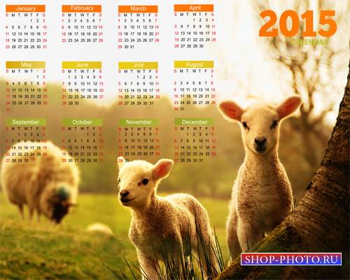 Календарь на 2015 год – Раз ягнёнок, два ягнёнок 