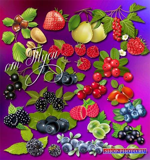 Клипарт - У каждой ягоды свой вкус и аромат