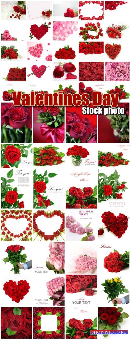 Valentine's Day, roses, hearts # 18 - stock photos