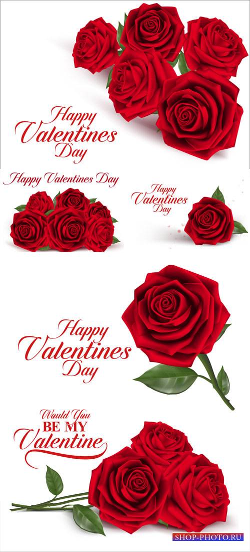 Red roses, happy Valentine's day vector