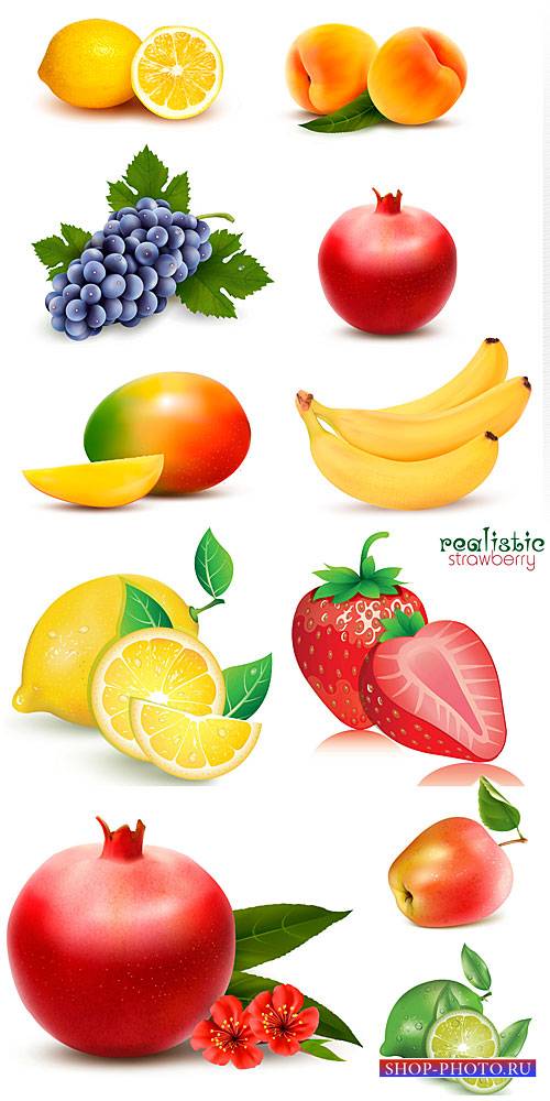 Vector fresh fruits and berries, pomegranates, grapes, strawberries
