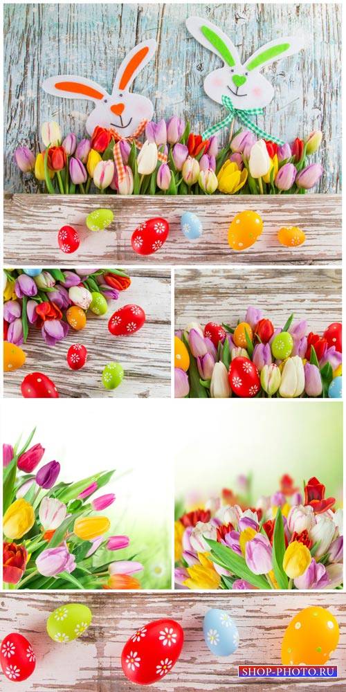 Happy Easter, Easter bunnies and tulips - stock photos