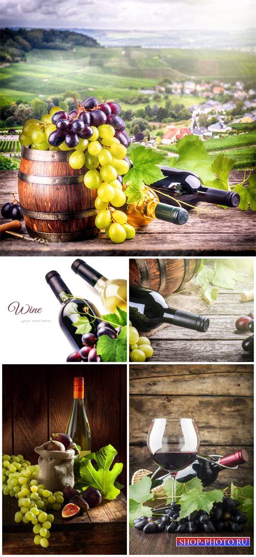 Wine and grapes - stock photos