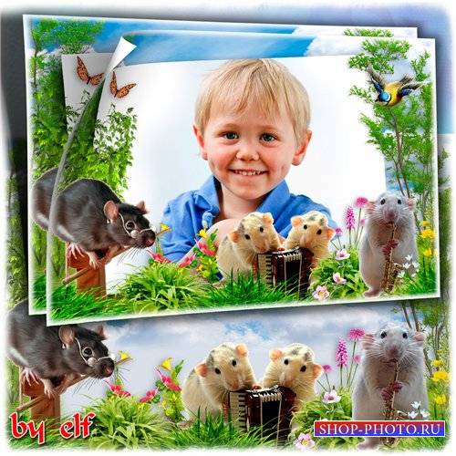 Рамка с забавными мышатами для детских фото - Мышиный квартет