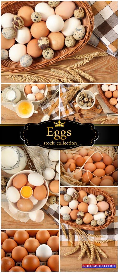 Eggs, quail eggs and milk- stock photos