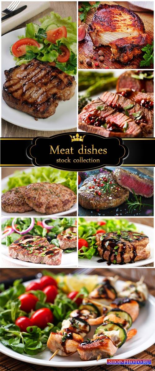 Delicious meat dishes - stock photos