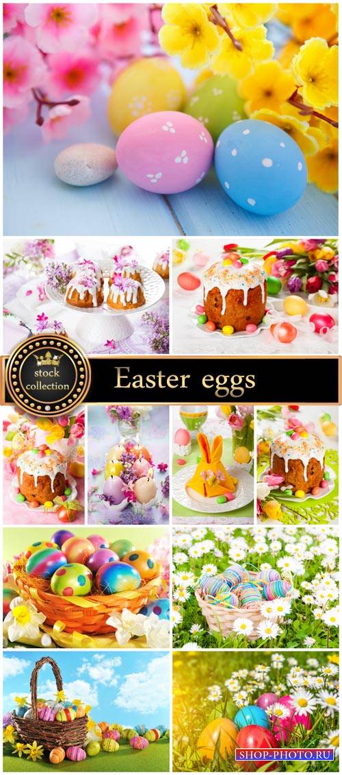Easter eggs and flowers - Stock Photo