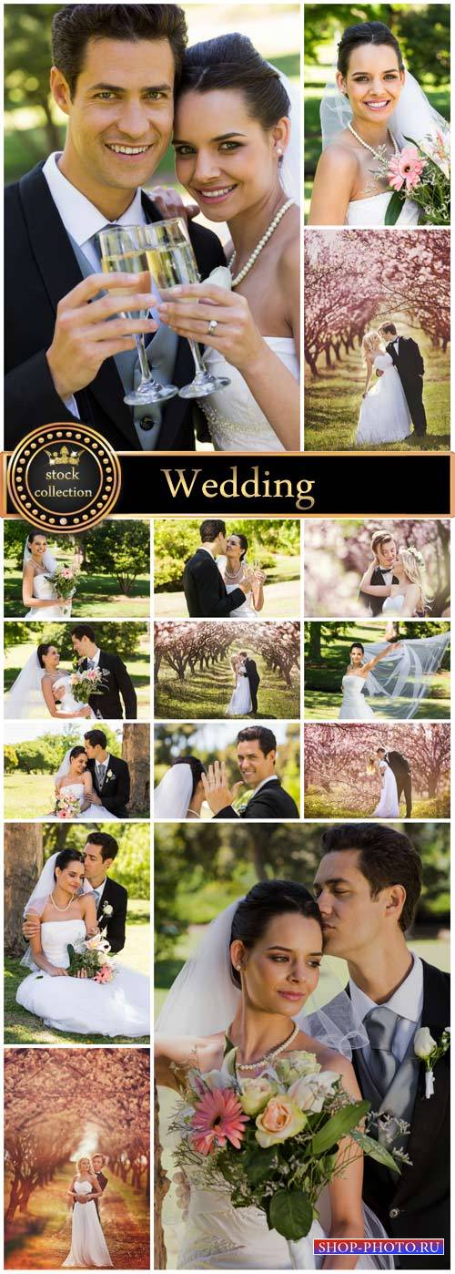 Wedding, bride and groom, family - stock photos
