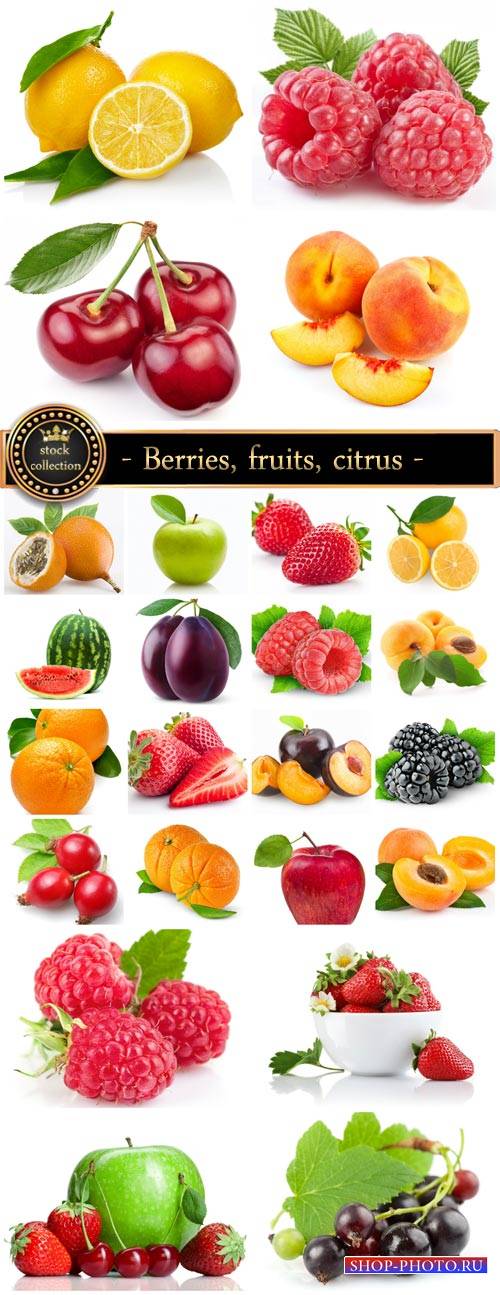 Berries, fruits, citrus - stock photos