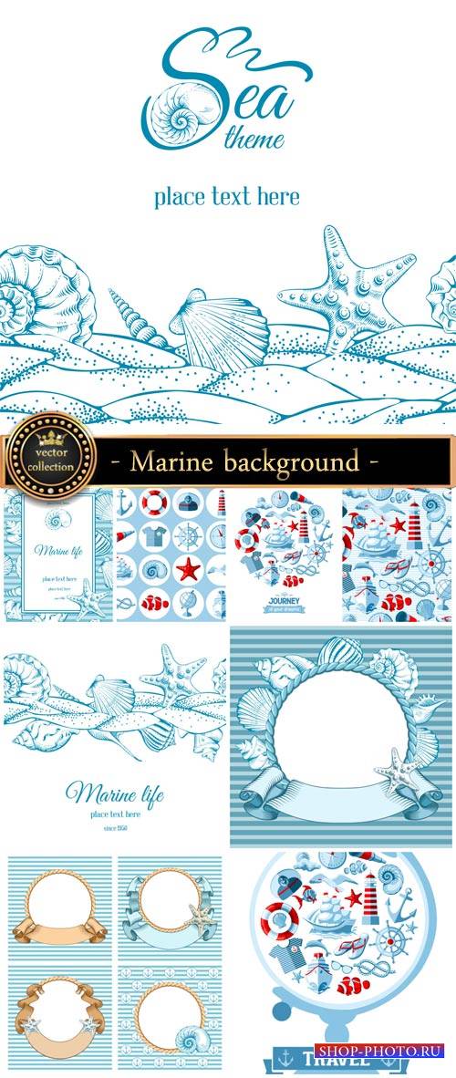 Marine background and elements in the vector