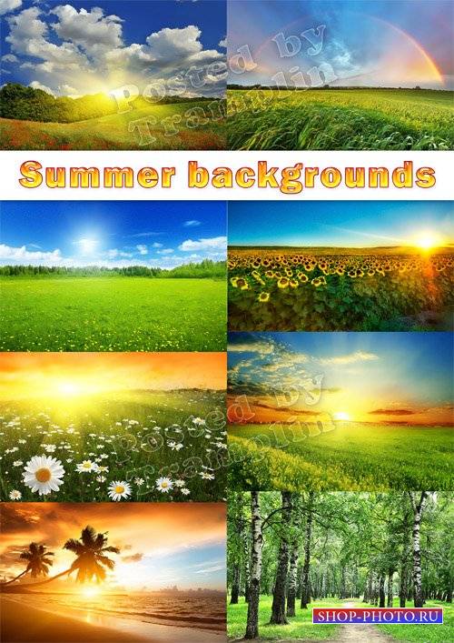 Летние фоны пейзажи – Солнце, поле, цветы