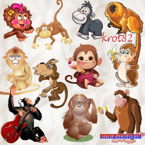 Клипарт символ 2016 года – Обезьяны, макаки, гориллы