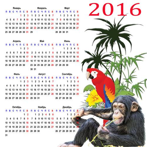Календарь на 2016 год – Эти шустрые мартышки