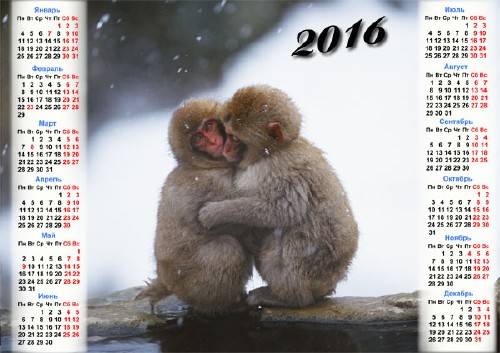 Красивый календарь - 2 маленькие обезьянки греются зимой
