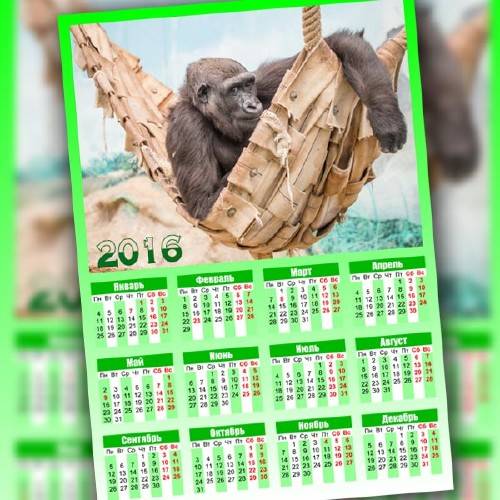  Календарь на 2016 год - Обезьяна в гамаке 