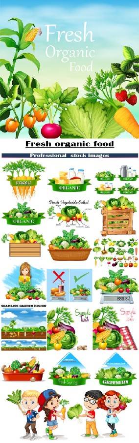 Свежие органические продукты питания