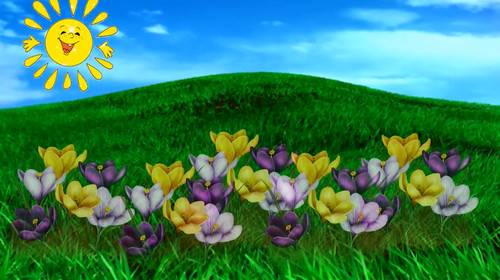 Футаж - Весенний луг с растущими цветами