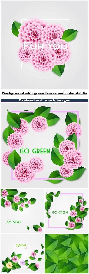 Весенние фоны с зелёными листьями и цветными георгинами