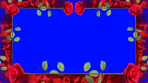 Футаж на хромакее - Рамка из красных роз