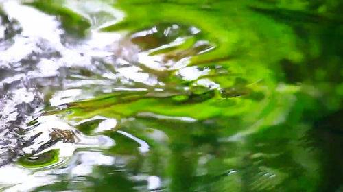 Футаж - Движение воды в ручье