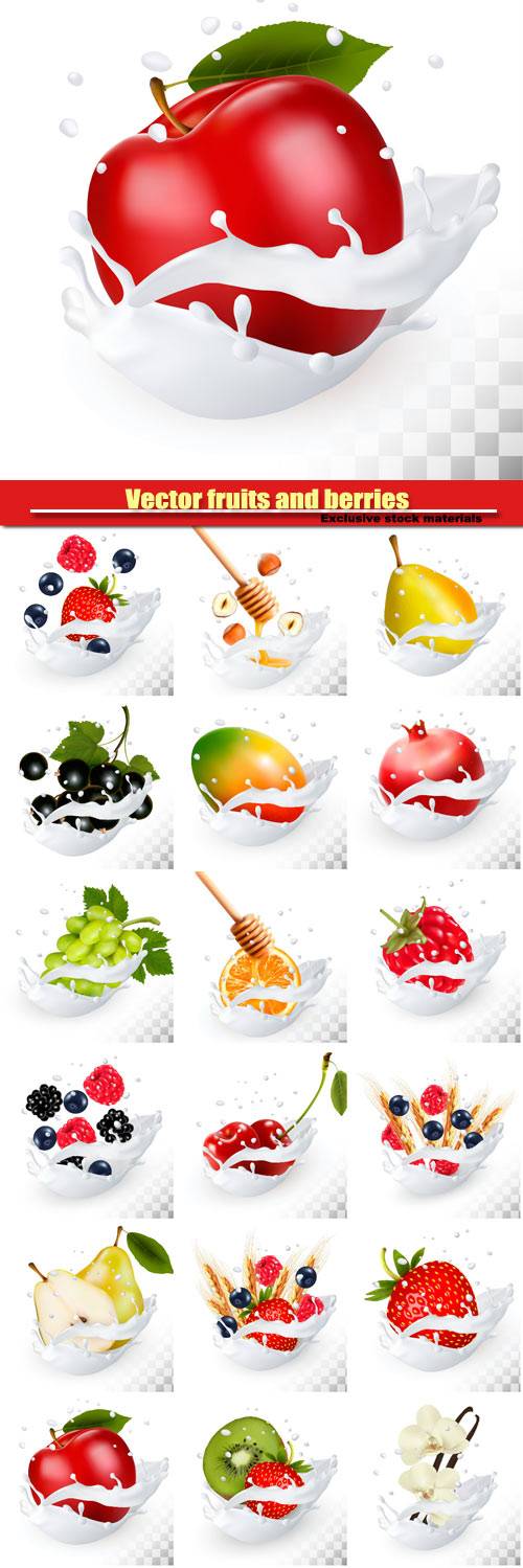 Vector fruits and berries in the splash of milk, raspberry and blueberry, b ...