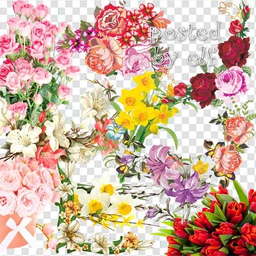 Тюльпаны, лилии, розы, нарциссы на прозрачном фоне