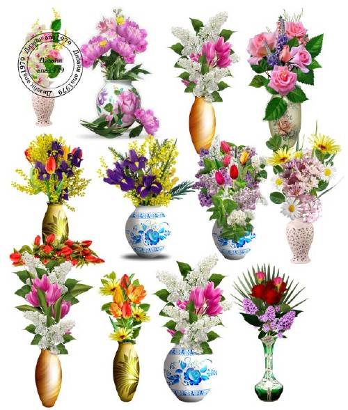 Клипарт для фотошопа - Цветы в вазах