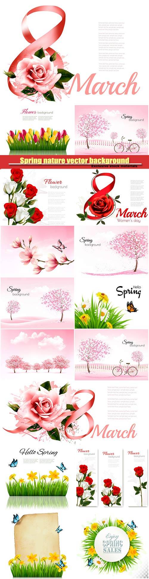 8th March illustration with rose, women's day, spring nature vector background