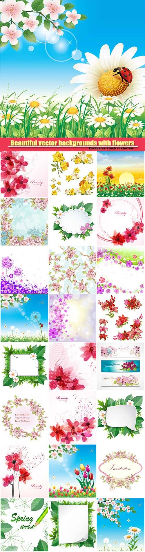Beautiful vector backgrounds with different flowers