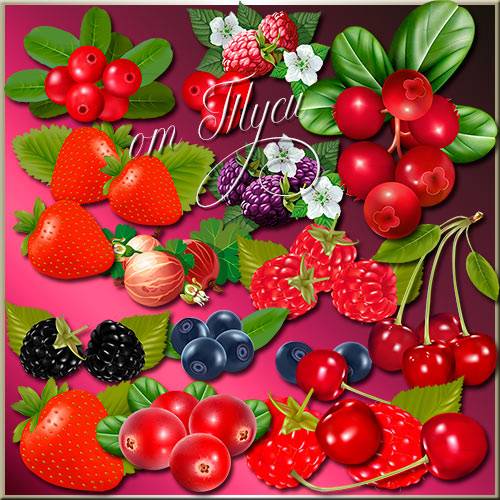 Клипарт - Вкусные ягоды