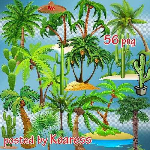 Png клипарт для дизайна - Пальмы, кактусы, тропические острова