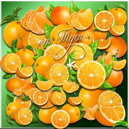 Апельсины - Клипарт