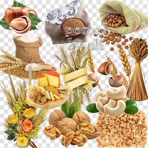 Зерно и злаки, орехи и желуди на прозрачном фоне в PNG