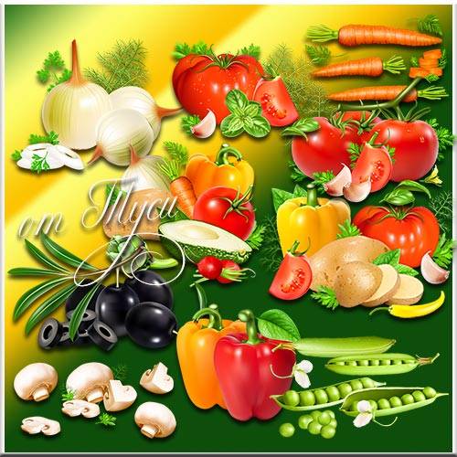  Изобилие овощей для вегетарианцев - Клипарт