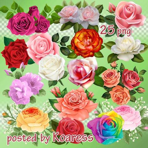 Png клипарт для Фотошопа - розы и композиции с розами