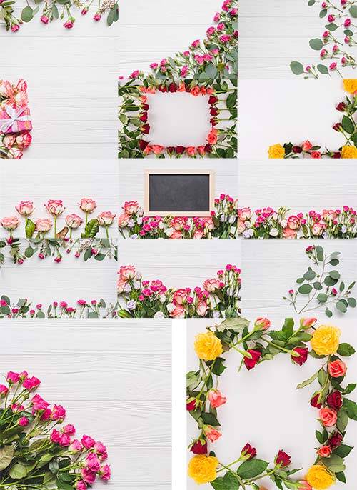 Весенние фоны с розами / Spring backgrounds with roses