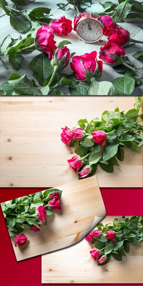 Прекрасные розы для поздравлений - Клипарт / Beautiful roses for congratula ...