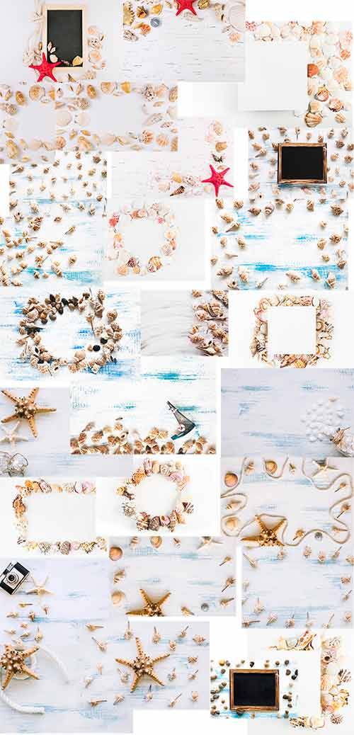 Фоны с морскими ракушками / Backgrounds with sea shells