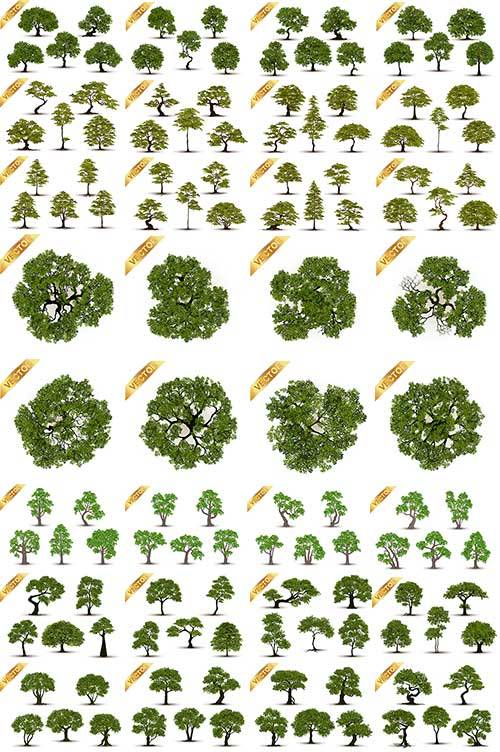  Деревья в векторе / Trees in vector