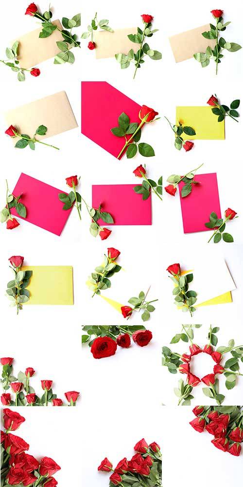 Фоны с красными розами / Backgrounds with red roses